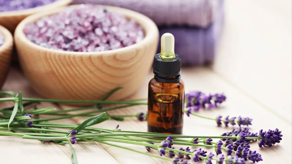 HEALTH BENEFITS OF LAVENDER!