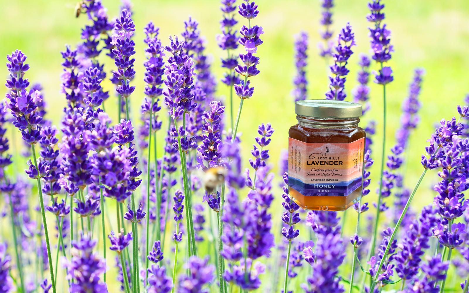 Lost Hills Lavender jar of honey over a background of lavender blooms